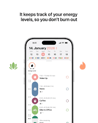 Structured app screenshot